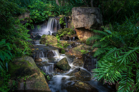 Small waterfall in a forest showing water movement over rocks
