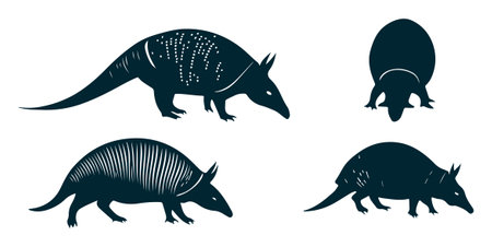 Armadillos silhouettes isolated on white background. Vector illustration.のイラスト素材