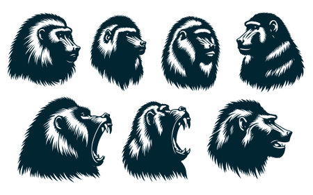 baboon head set Vector illustration for your design. Black and white.のイラスト素材