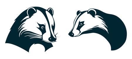 Vector illustration of a badger and raccoon in black and whiteのイラスト素材