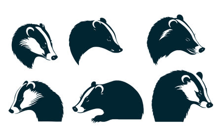 Set of badger silhouettes on white background. Vector illustration.のイラスト素材