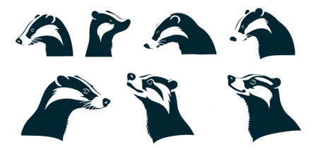 Set of badger head silhouettes isolated on white background. Vector illustration.のイラスト素材