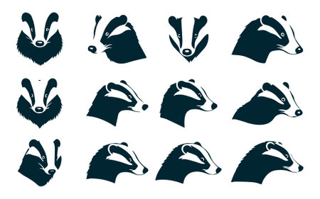 Badger head icons set. Collection of badge head vector icons for web designのイラスト素材