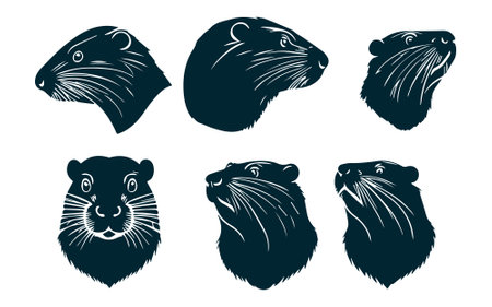 Set of beaver head silhouettes isolated on white background. Vector illustration.のイラスト素材