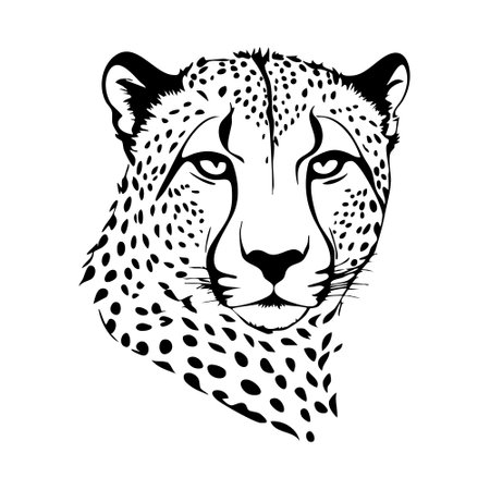Cheetah head isolated on a white background. Vector illustration.のイラスト素材