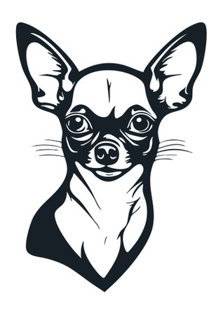Chihuahua head isolated on white background. Vector illustration.のイラスト素材