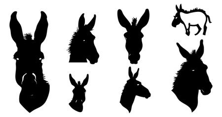 Set of silhouettes of donkeys on a white background. Vector illustrationのイラスト素材