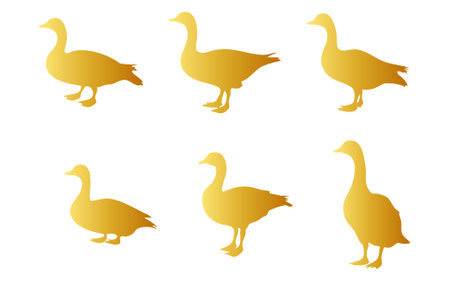 set of golden goose silhouettes on white background. vector illustration.のイラスト素材