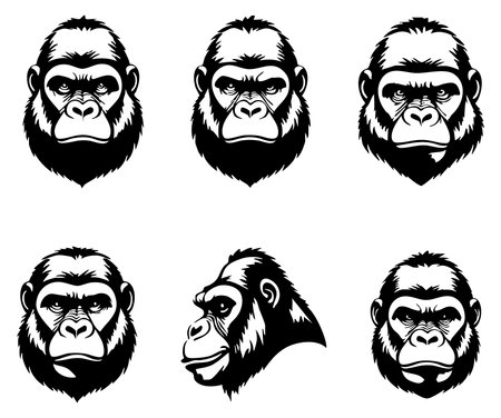 Gorilla head vector icons set isolated on white background. Gorilla head vector illustration.のイラスト素材