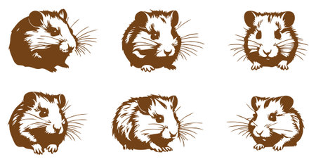 Hamster. Set of four vector illustrations of hamsters on white background.のイラスト素材