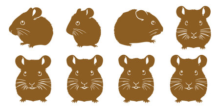 Hamster set. Vector illustration of a hamster in different poses.のイラスト素材