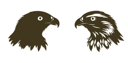 Eagle head set. Vector illustration isolated on a white background.のイラスト素材