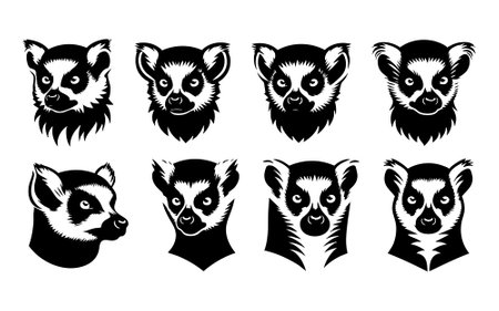 Set of lemurs heads. Vector illustration isolated on white background.のイラスト素材