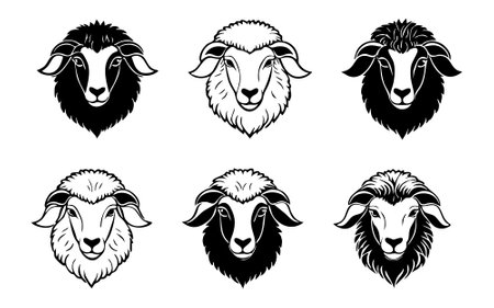 Sheep heads set. Black and white vector illustration isolated on white background.のイラスト素材