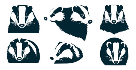 Set of badger heads. wild animal head Vector illustration.のイラスト素材