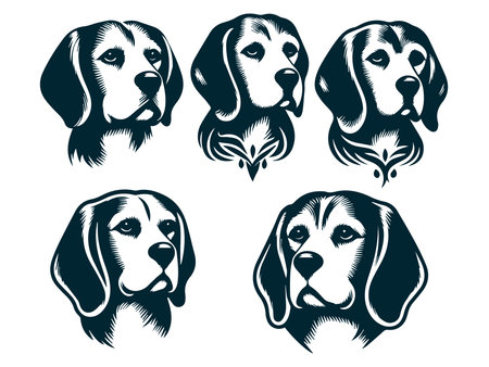 Set of hand drawn portraits of beagle dogs. Vector illustration.のイラスト素材