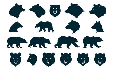 Bear head icons set. Cartoon bear head vector icons for web designのイラスト素材