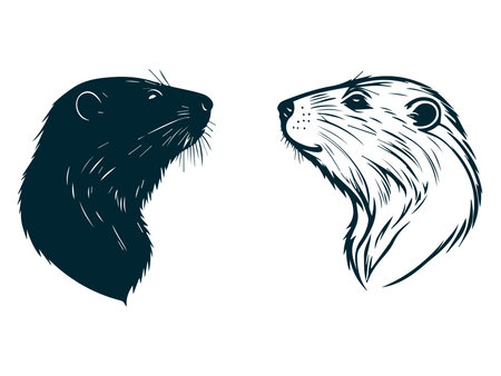 Set of vector silhouettes of beaver. symbol ofのイラスト素材