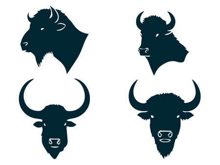 Set of bison heads on a white background. Vector illustration.のイラスト素材