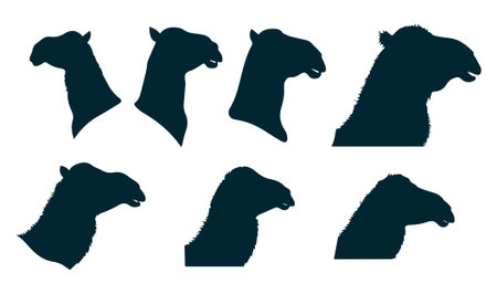 Camel silhouettes on white background. Vector illustration of camel.のイラスト素材