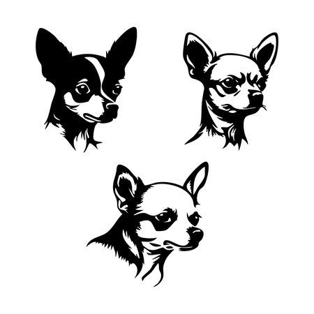 Chihuahua head set. Vector illustration isolated on white background.のイラスト素材