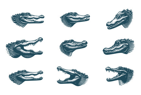 Crocodile icons set. Hand drawn crocodile vector illustrationのイラスト素材