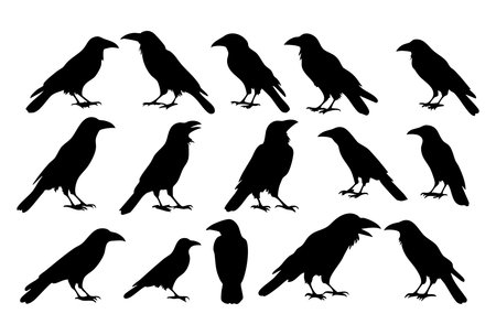 Set of black silhouettes of ravens isolated on white background. Vector illustrationのイラスト素材
