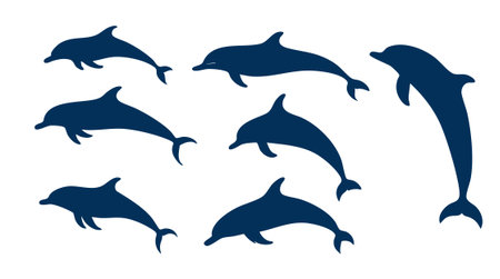 Set of dolphin silhouettes isolated on white background. Vector illustration.のイラスト素材