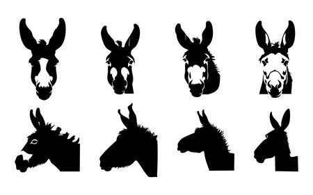 Set of silhouettes of donkey heads. Vector illustration isolated on white background.のイラスト素材