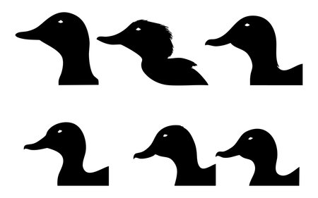 Set of black silhouettes of ducks on a white background. Vector illustrationのイラスト素材