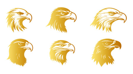 Eagle head vector set. Golden eagle head vector set. Eagle head vector setのイラスト素材