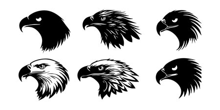 Eagle head set. Vector illustration in black and white colors.のイラスト素材