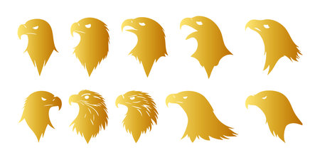 Eagle head set. Golden eagle head vector set. Eagle head vector setのイラスト素材