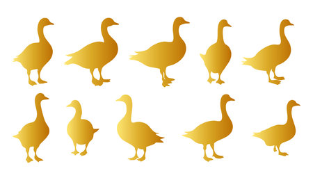 set of silhouettes of ducks on a white background, vector illustrationのイラスト素材
