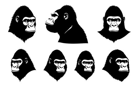 Gorilla head set. Vector illustration isolated on white background.のイラスト素材