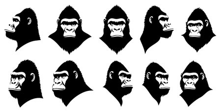 Gorilla head silhouette set isolated on white background. Vector illustration.のイラスト素材