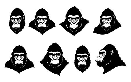 Gorilla head set. Vector illustration isolated on white background.のイラスト素材