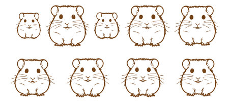 Hamster set. Hand drawn vector illustration. Isolated on white background.のイラスト素材