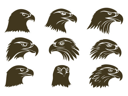 Eagle head vector set. Eagle head vector collection. Eagle head vector setのイラスト素材