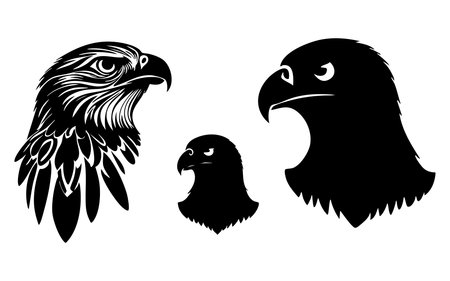 Eagle head set. Vector illustration isolated on a white background.のイラスト素材