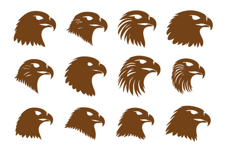 Eagle head set on white background. Vector illustration eps 10のイラスト素材