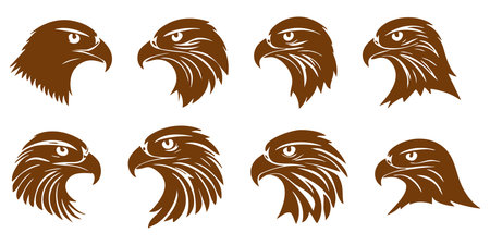 Eagle head set. Vector illustration isolated on a white background.のイラスト素材