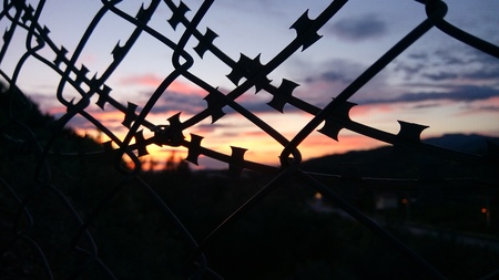 wire nettingの写真素材