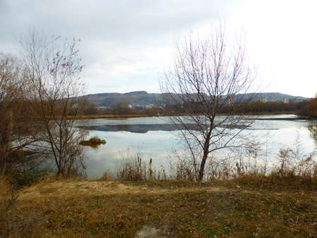 Pond, sky, clouds, reflection, reedの写真素材