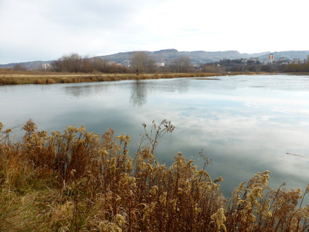 Pond, sky, clouds, reflection, reedの写真素材