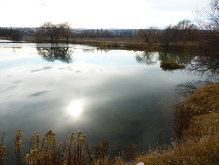 Pond, sky, clouds, reflection, reedの写真素材