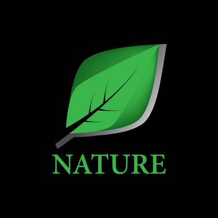 nature leaf logoのイラスト素材