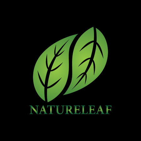 nature leaves logoのイラスト素材