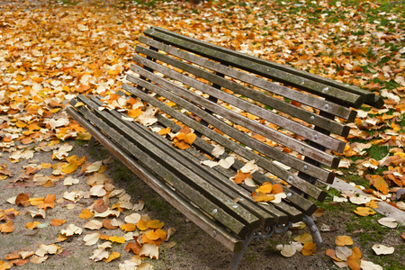 lonely wooden bench surrounded with yellow leaves in autumnの写真素材