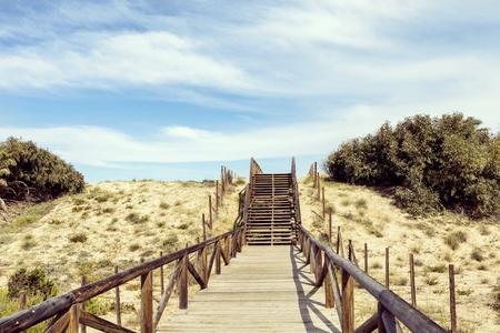 wooden path and steps for beach access on sand dunes in Guardamar del Segura, Alicante. Spainの写真素材